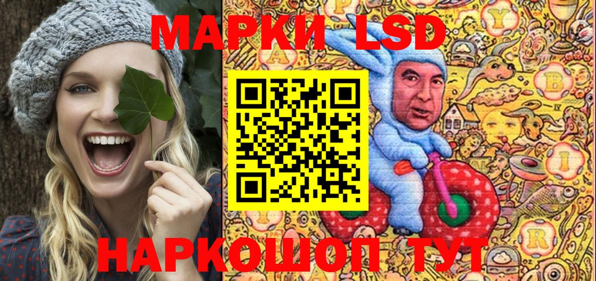 Наркотические марки  Вход с VPN  Наркотические марки 1500мкг  Зеленодольск  сколько стоит  Наркотические марки 1500мкг 